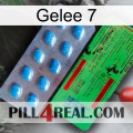 Jelly 7 new03